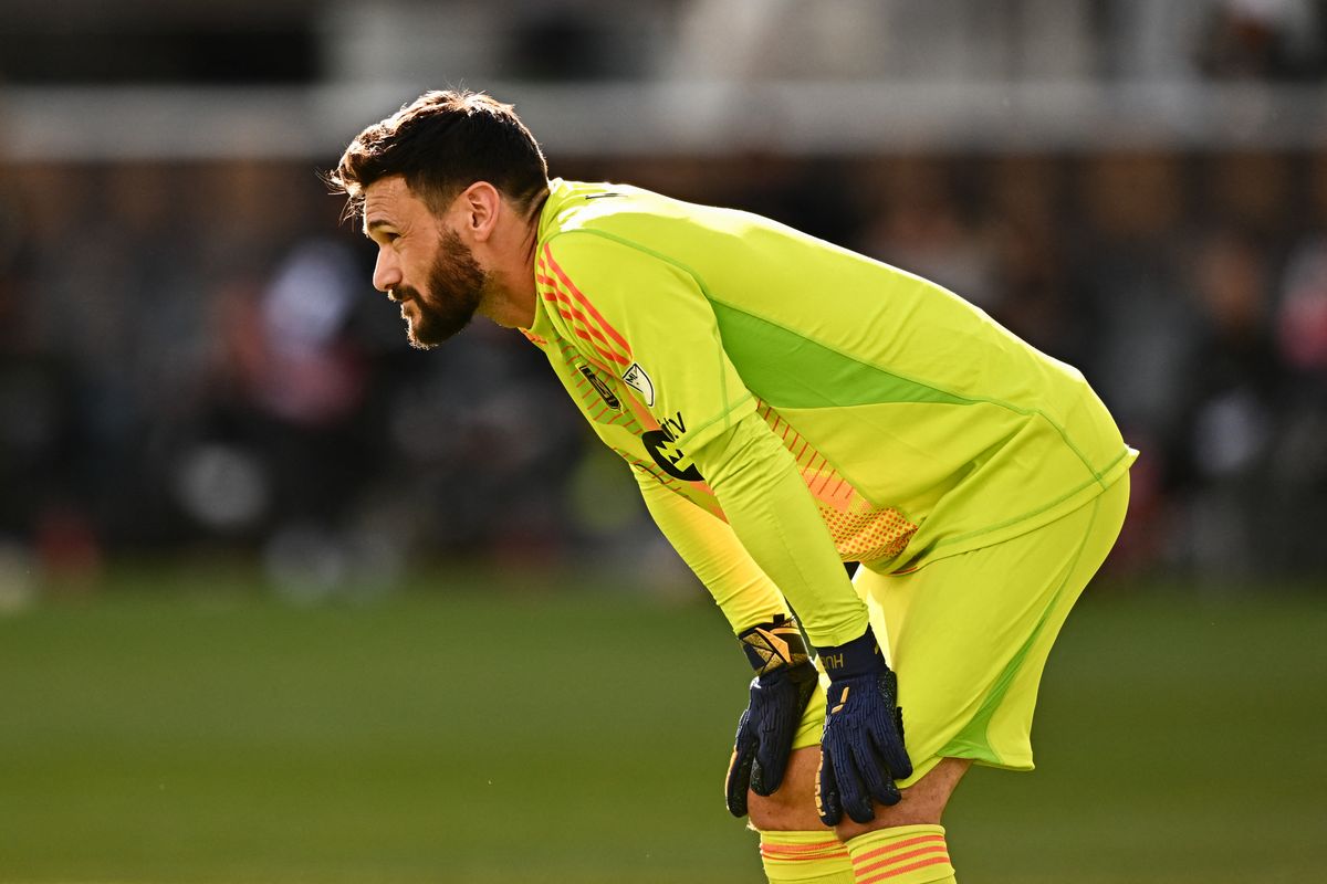 Former Tottenham goalkeeper Hugo Lloris